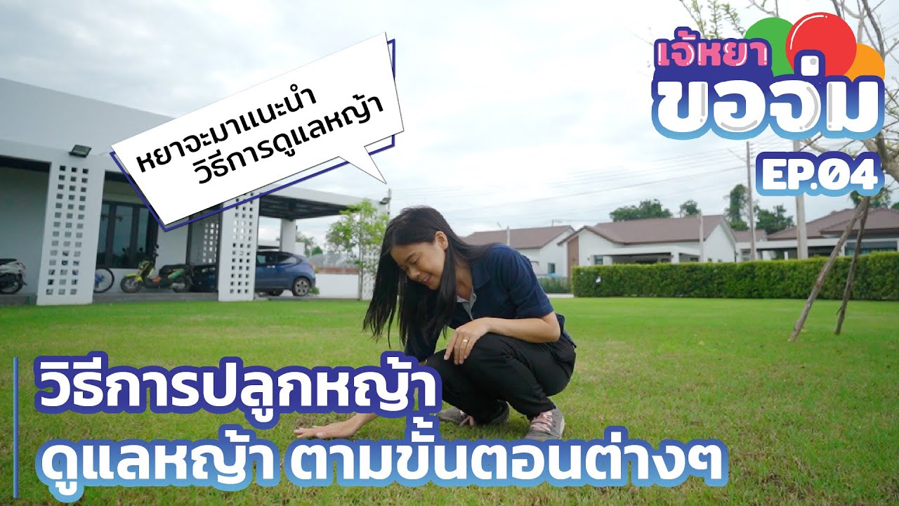 เจ้หยาขอจ่ม EP.04 เเนะนำวิธีการปลูกหญ้า เเละดูเเลหญ้า | QDHouse