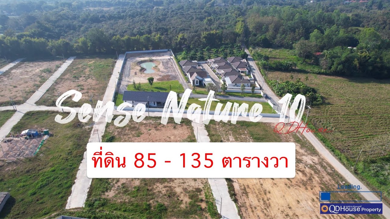 Sense Nature 10 [Diamond💎] เตรียมเปิด พรีเซลล์ เร็วๆนี้