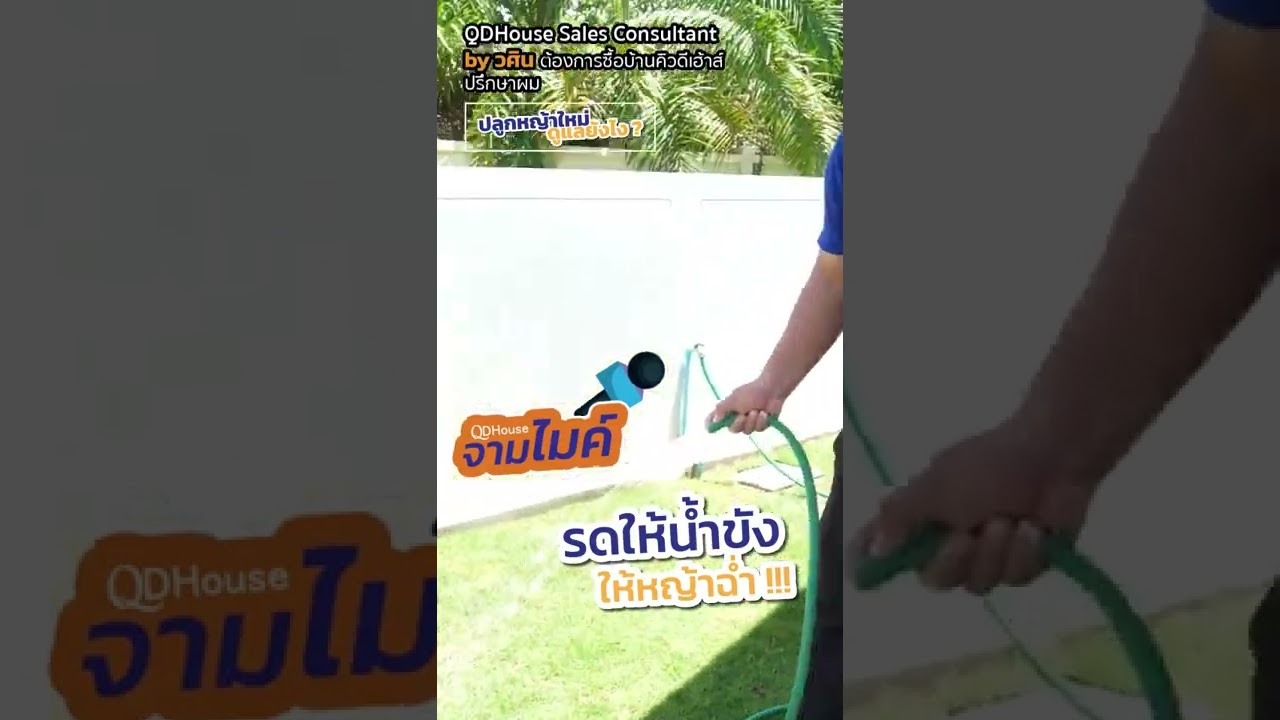 ปลูกหญ้าใหม่ดูเเลยังไง | QDHouse